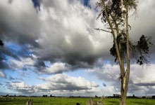 99秒回顾第九届哈尔滨亚冬会圣火传递精彩瞬间央视新闻客户端.