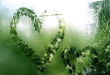 WTA迈阿密站:郑钦文两盘不敌萨巴伦卡遭遇六连败.