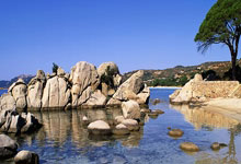 BB体育:丹麦主帅:C罗的实力非常强,他拥有一种只有少数人才拥有的技术.